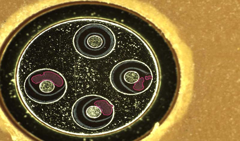 3C_像素分割_手機鏡頭2.jpg