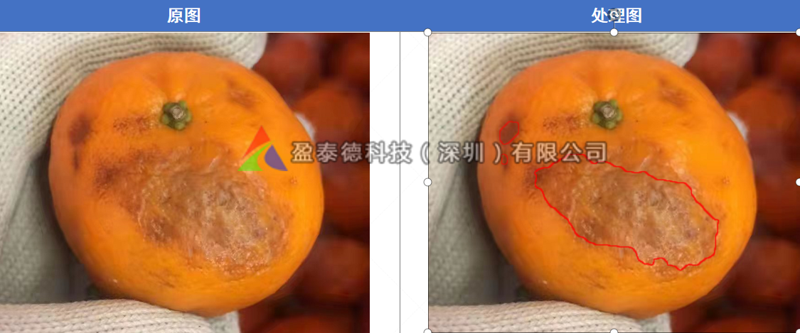 水果自動篩選機(jī)（水果不良品機(jī)器視覺檢測方案）插圖4