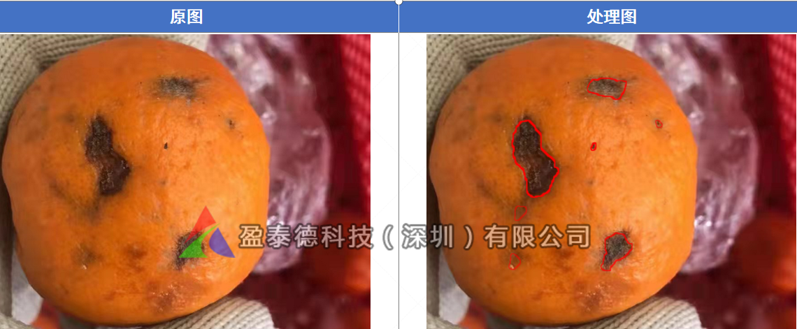 水果自動篩選機(jī)（水果不良品機(jī)器視覺檢測方案）插圖5