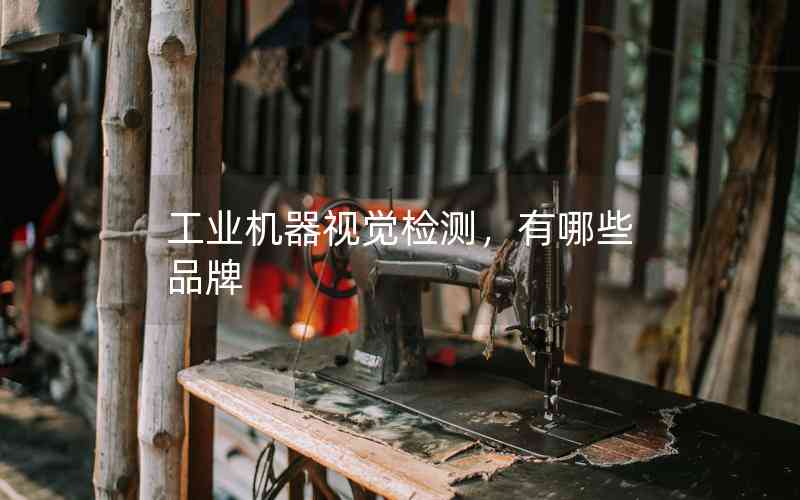工業(yè)機(jī)器視覺檢測，有哪些品牌
