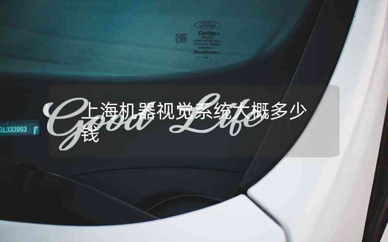 上海機(jī)器視覺系統(tǒng)大概多少錢
