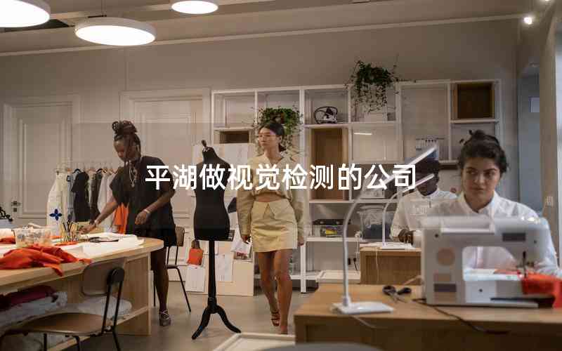 平湖做視覺檢測(cè)的公司