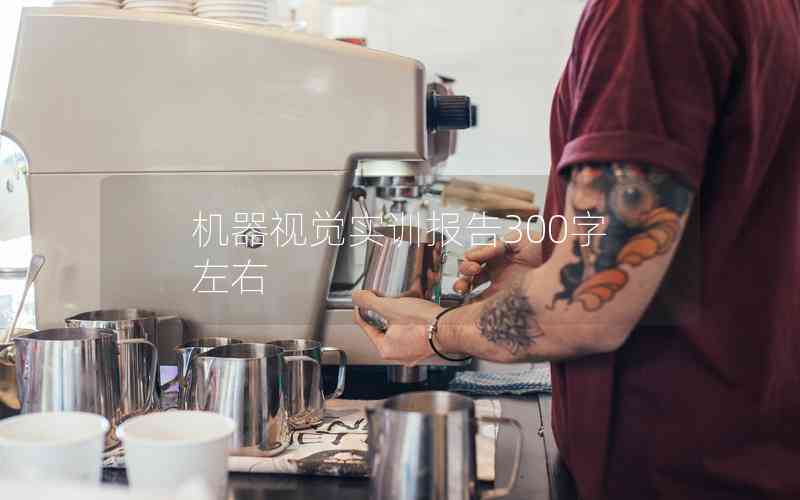 機(jī)器視覺實訓(xùn)報告300字左右
