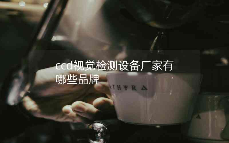 ccd視覺檢測設(shè)備廠家有哪些品牌