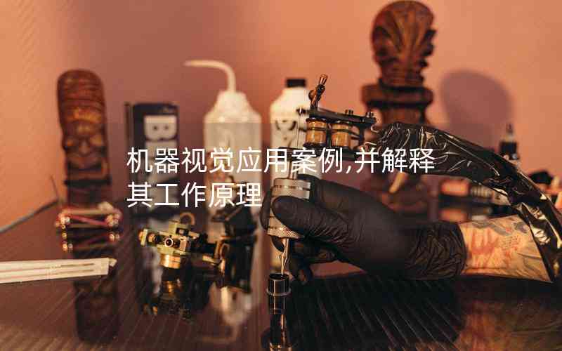 機(jī)器視覺應(yīng)用案例,并解釋其工作原理