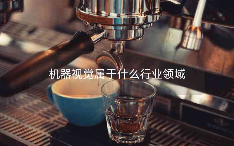 機(jī)器視覺屬于什么行業(yè)領(lǐng)域