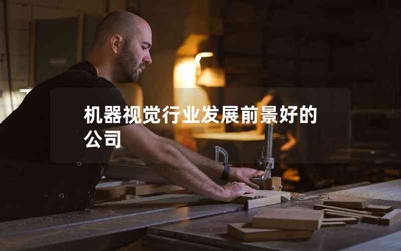 機(jī)器視覺行業(yè)發(fā)展前景好的公司