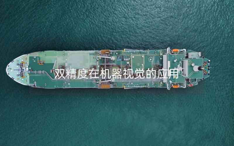 雙精度在機器視覺的應用