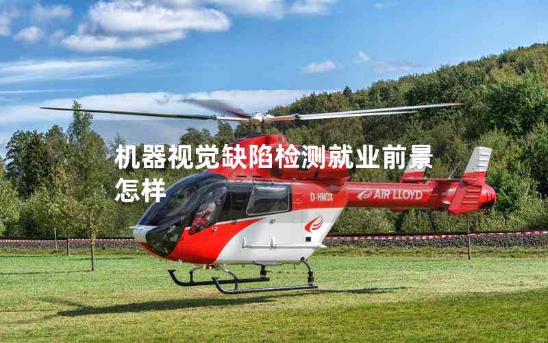 機(jī)器視覺缺陷檢測就業(yè)前景怎樣
