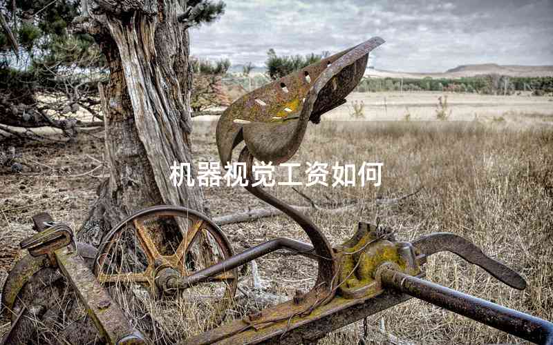 機(jī)器視覺(jué)工資如何