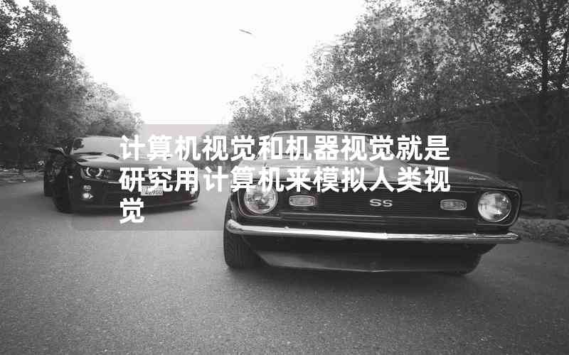 計算機(jī)視覺和機(jī)器視覺就是研究用計算機(jī)來模擬人類視覺