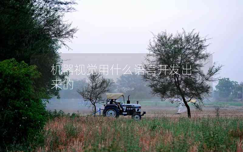 機器視覺用什么語言開發(fā)出來的