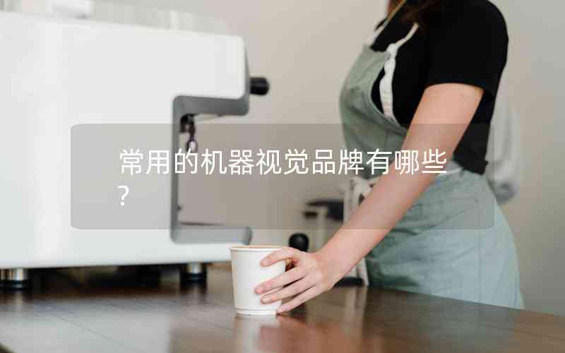 常用的機器視覺品牌有哪些?