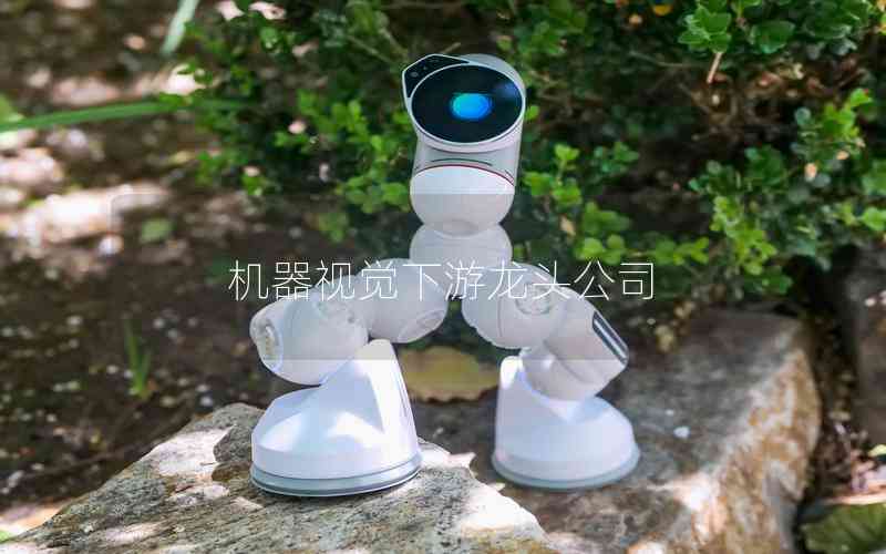 機器視覺下游龍頭公司