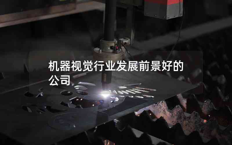 機器視覺行業(yè)發(fā)展前景好的公司
