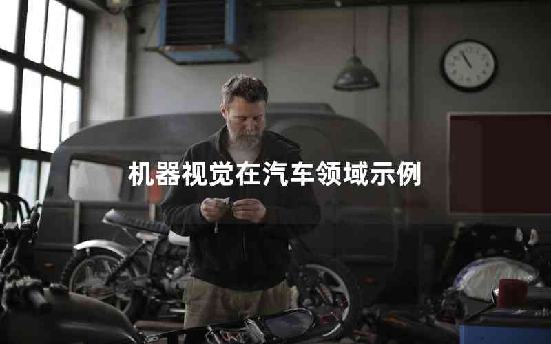 機器視覺在汽車領(lǐng)域示例