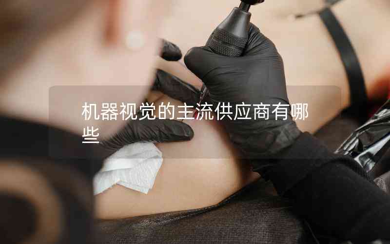 機器視覺的主流供應(yīng)商有哪些