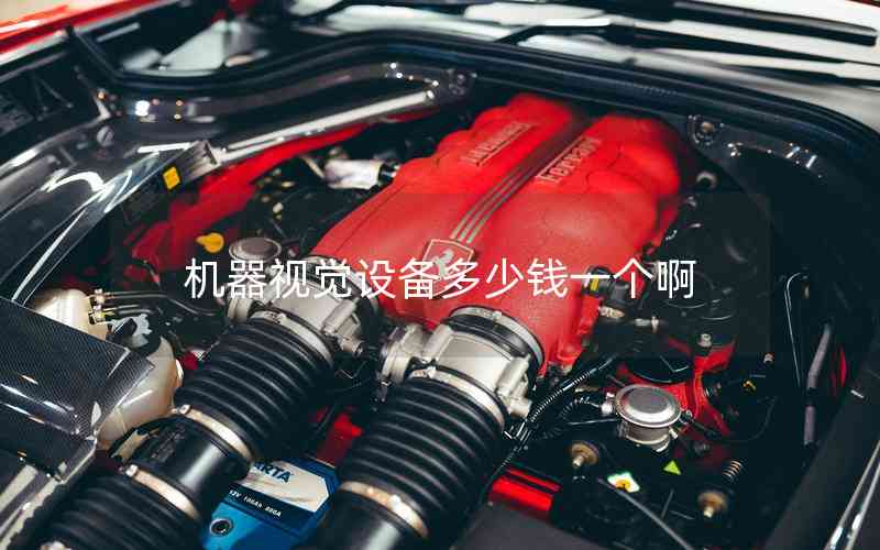 機(jī)器視覺設(shè)備多少錢一個啊