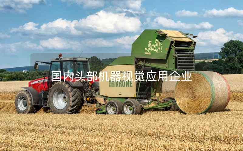 國內(nèi)頭部機器視覺應用企業(yè)