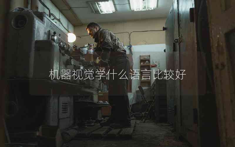 機(jī)器視覺學(xué)什么語(yǔ)言比較好