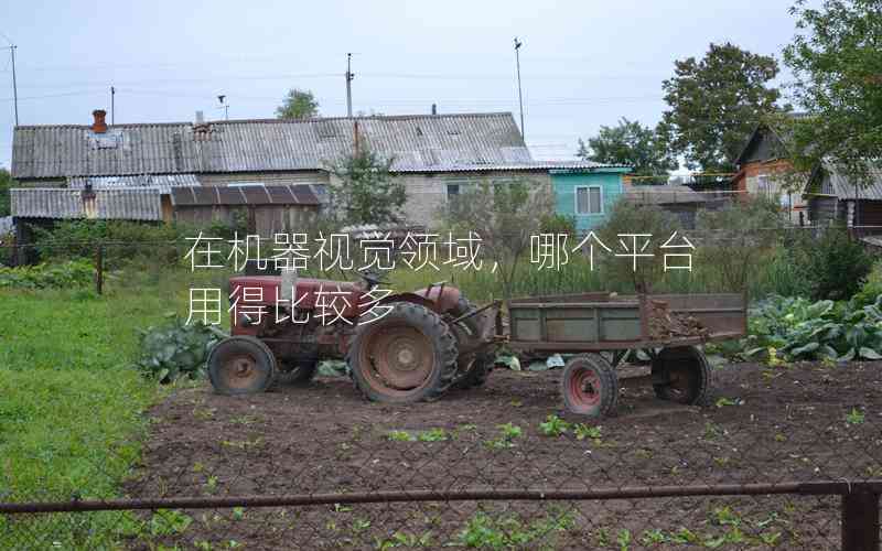 在機(jī)器視覺(jué)領(lǐng)域，哪個(gè)平臺(tái)用得比較多