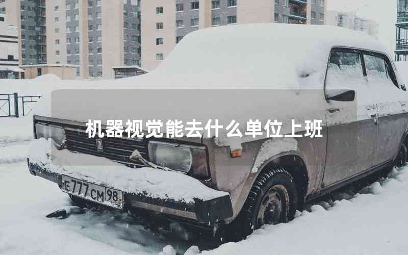 機(jī)器視覺(jué)能去什么單位上班