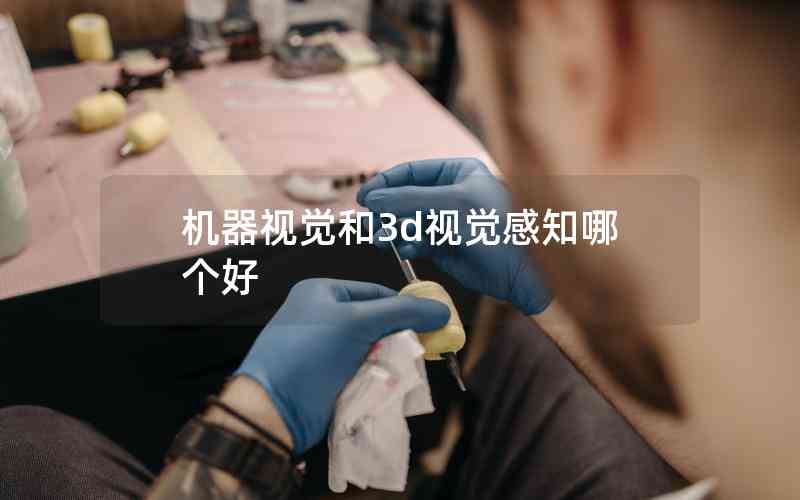 機(jī)器視覺(jué)和3d視覺(jué)感知哪個(gè)好