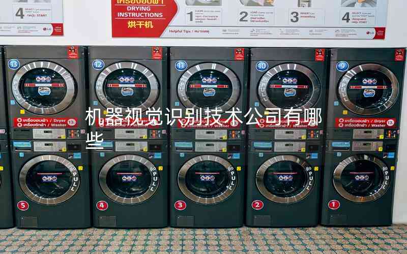 機(jī)器視覺識別技術(shù)公司有哪些