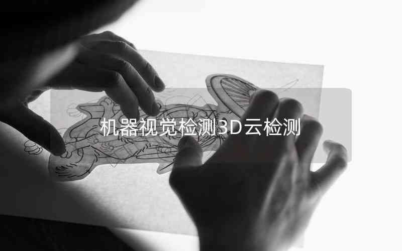 機(jī)器視覺(jué)檢測(cè)3D云檢測(cè)