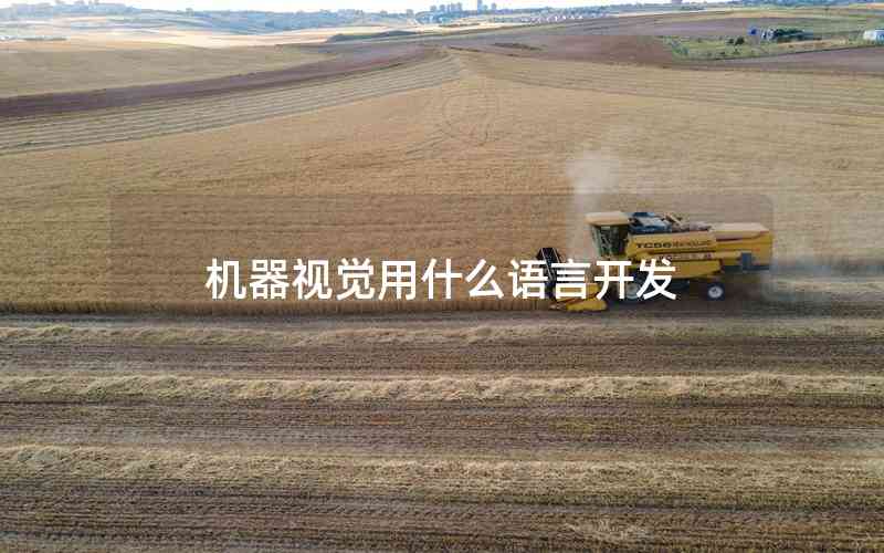 機器視覺用什么語言開發(fā)