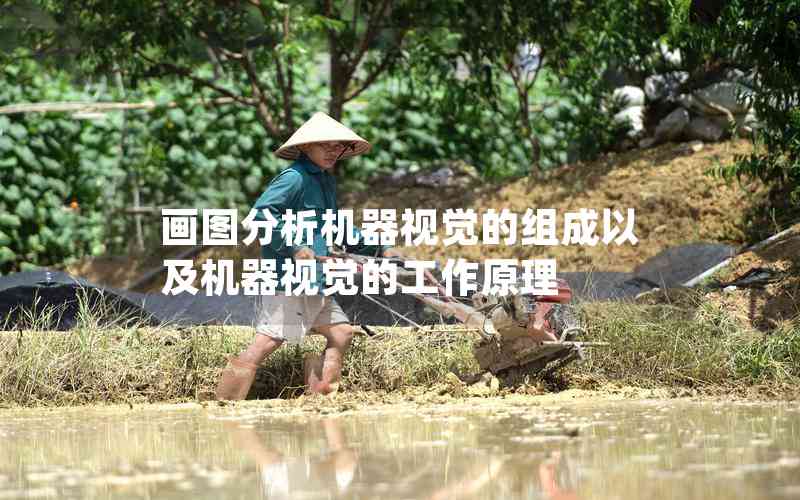 畫(huà)圖分析機(jī)器視覺(jué)的組成以及機(jī)器視覺(jué)的工作原理