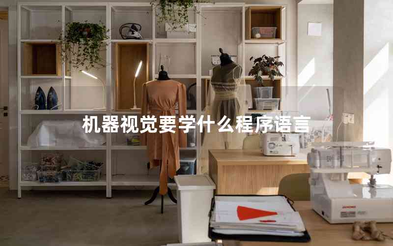 機(jī)器視覺要學(xué)什么程序語(yǔ)言