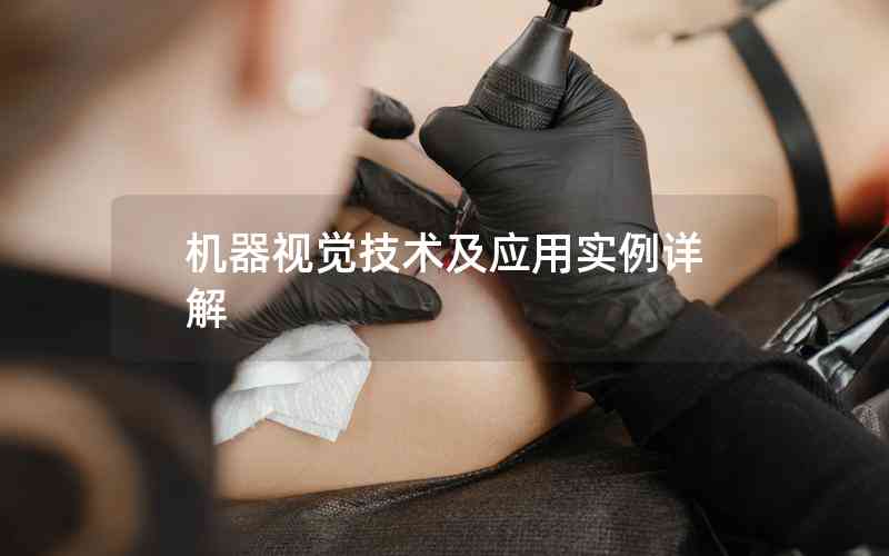 機器視覺技術(shù)及應(yīng)用實例詳解