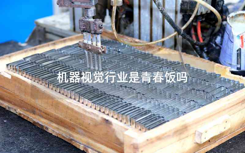 機(jī)器視覺(jué)行業(yè)是青春飯嗎