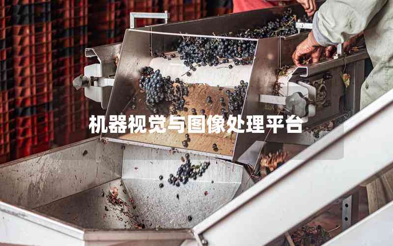 機(jī)器視覺與圖像處理平臺