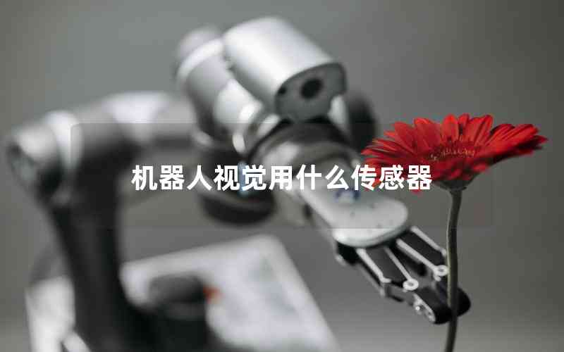 機(jī)器人視覺用什么傳感器