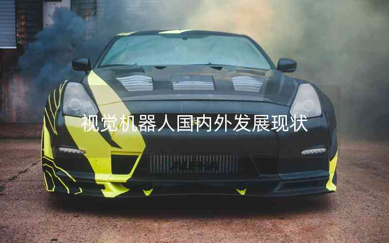 視覺機(jī)器人國(guó)內(nèi)外發(fā)展現(xiàn)狀