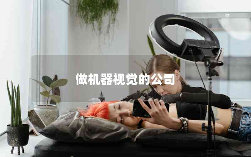 做機器視覺的公司