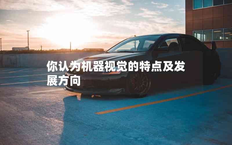 你認為機器視覺的特點及發(fā)展方向