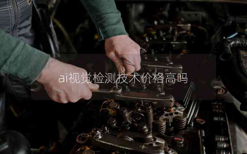 ai視覺檢測技術(shù)價(jià)格高嗎