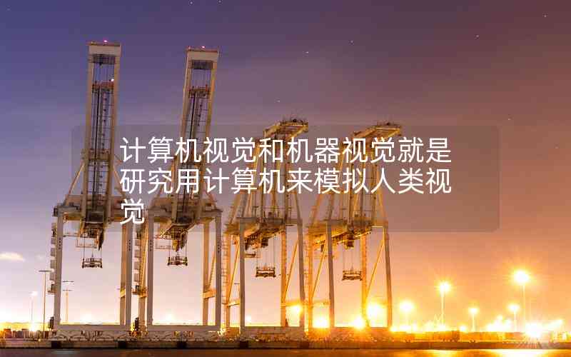 計算機(jī)視覺和機(jī)器視覺就是研究用計算機(jī)來模擬人類視覺