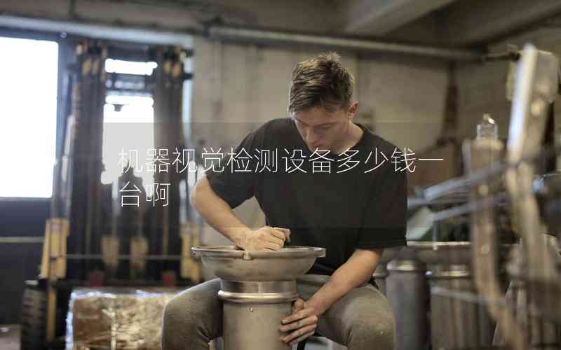 機(jī)器視覺檢測(cè)設(shè)備多少錢一臺(tái)啊