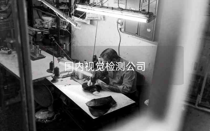 國(guó)內(nèi)視覺(jué)檢測(cè)公司