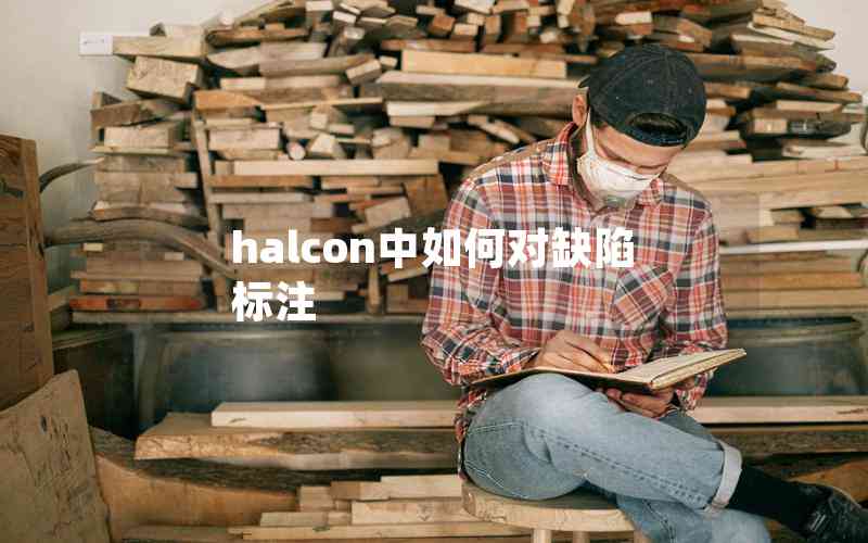 halcon中如何對缺陷標注