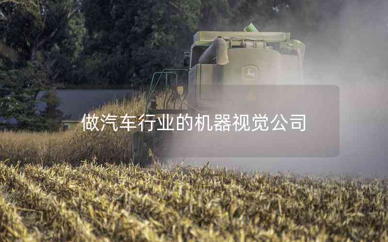 做汽車(chē)行業(yè)的機(jī)器視覺(jué)公司