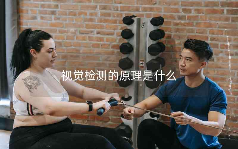 視覺檢測(cè)的原理是什么