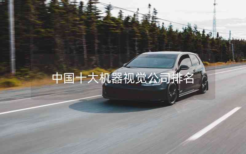 中國(guó)十大機(jī)器視覺公司排名