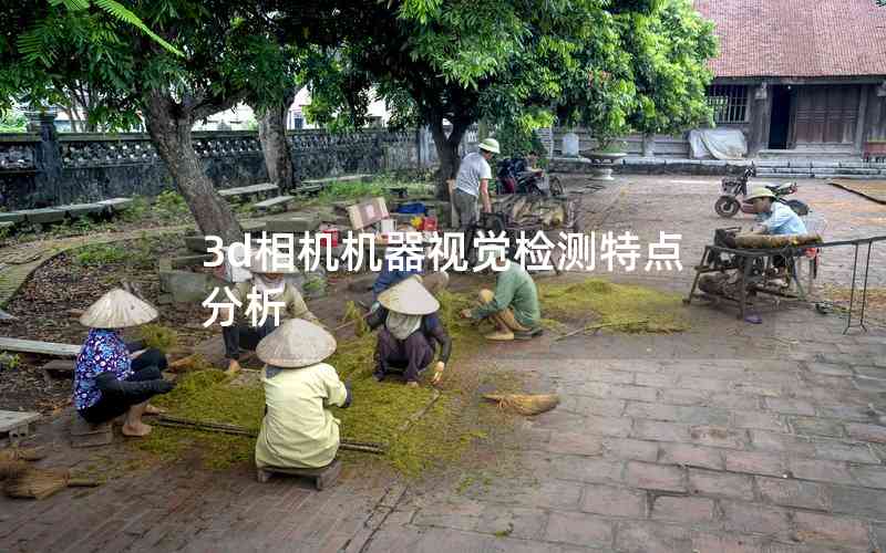 3d相機(jī)機(jī)器視覺檢測特點分析