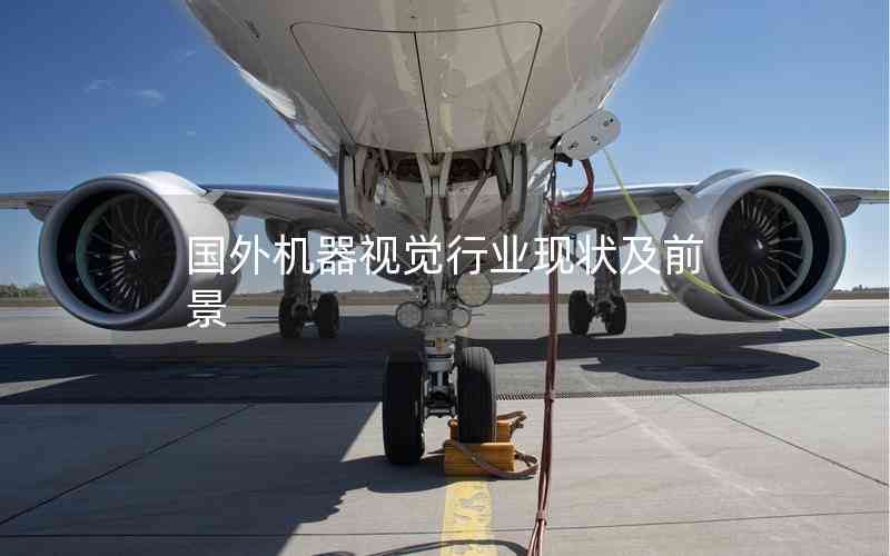 國外機器視覺行業(yè)現(xiàn)狀及前景