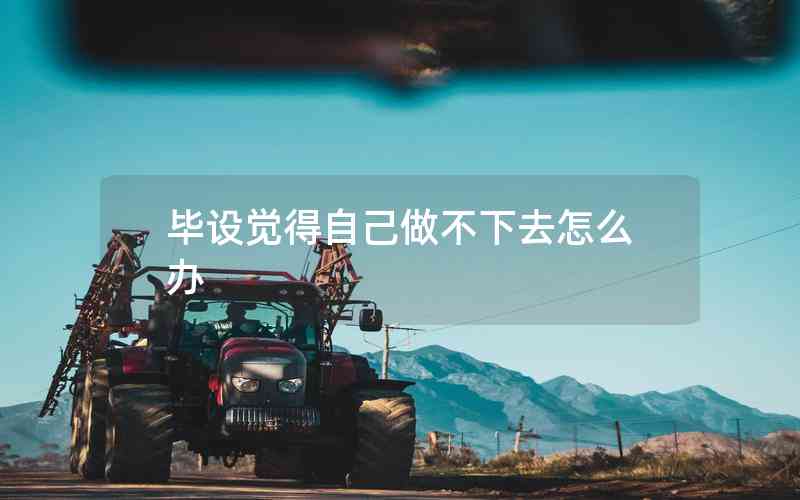 畢設覺得自己做不下去怎么辦